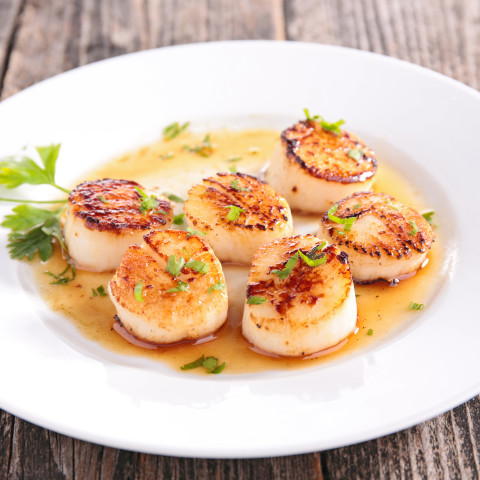 seared scallop